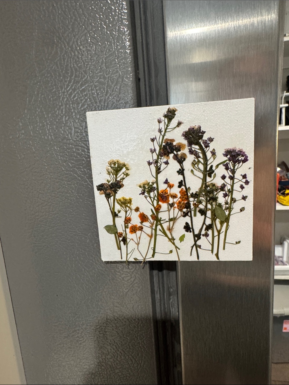 Handmade Pressed Flower FRIDGE MAGNET – White Canvas with Orange & Purple Blooms
